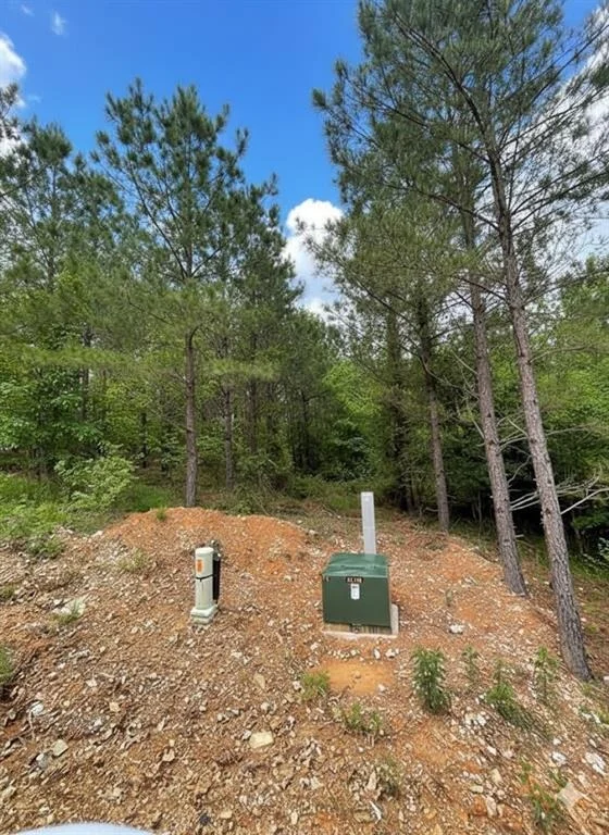 Photo of 668 Timber Creek Trails South XI