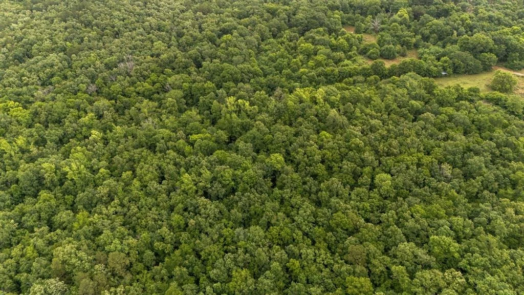 Photo of 219 Lost Hazel Trail