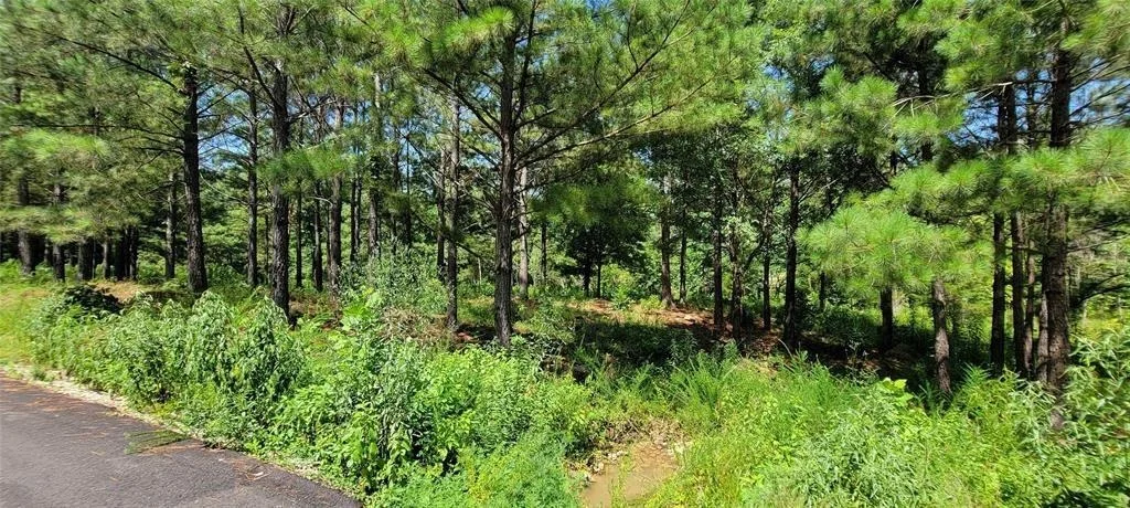 Photo of 74 Creek Side Trail