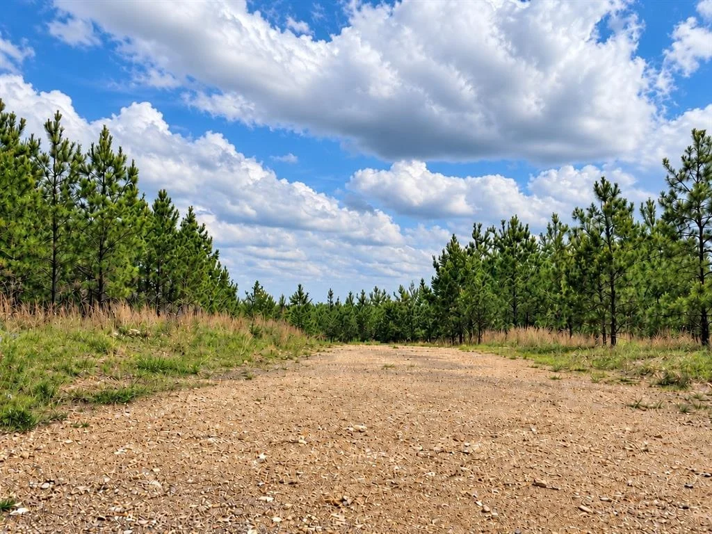 Photo of 158 Legacy Ridge Trail