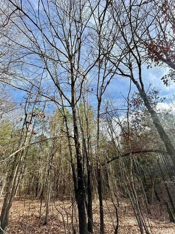 Photo of 731 Timber Creek Trails South XI