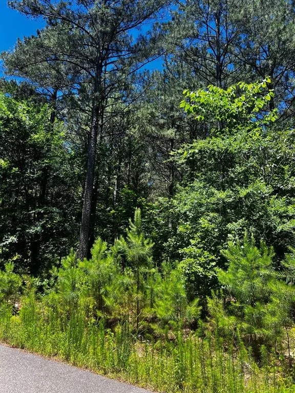 Photo of 83 Pleasant Cypress Trail