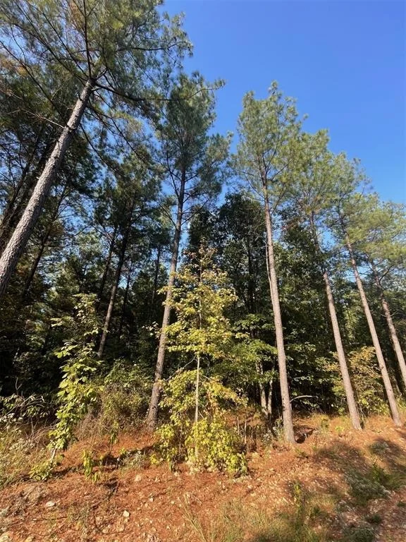 Photo of 758 Timber Creek Trails South XI