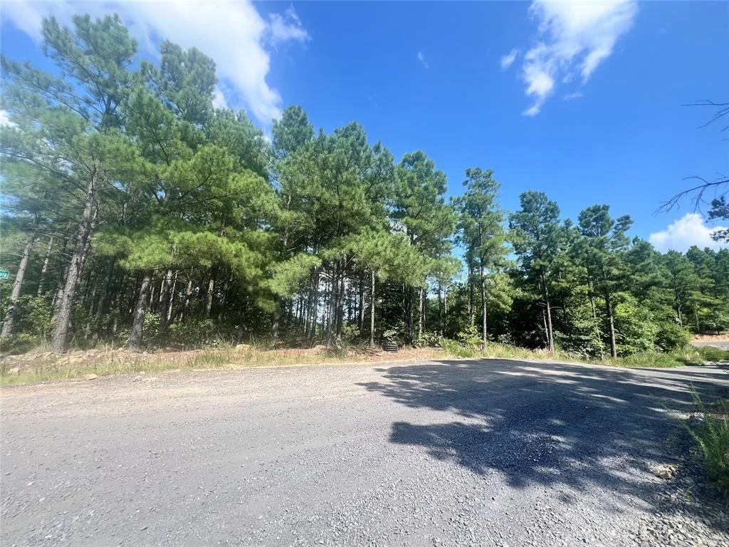 Photo of 24 Evergreen Vista Loop