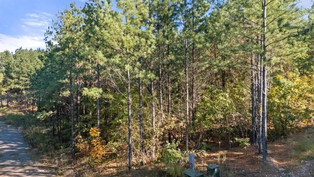 Photo of 24 Cedar Tree Trail