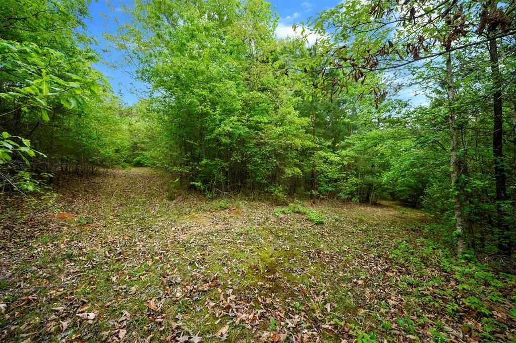 Photo of 728 Whipporwill Road