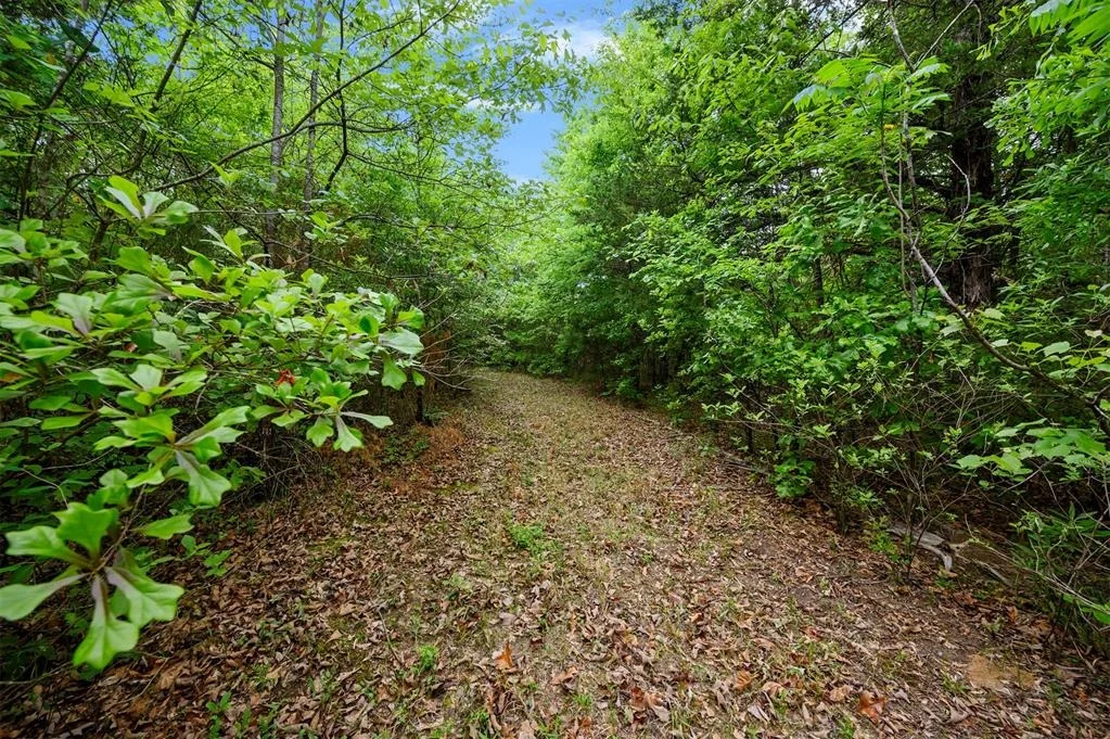 Photo of 728 Whipporwill Road