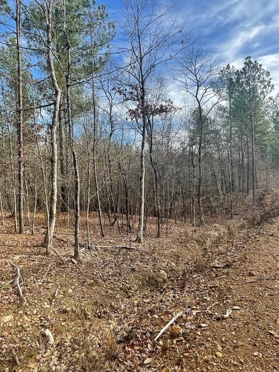 Photo of 729 Timber Creek Trails South XI