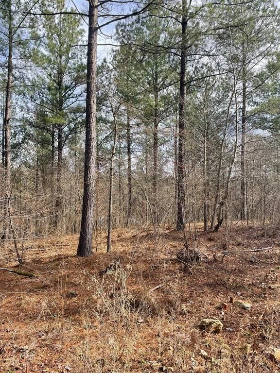 Photo of 752 Timber Creek Trails South XI