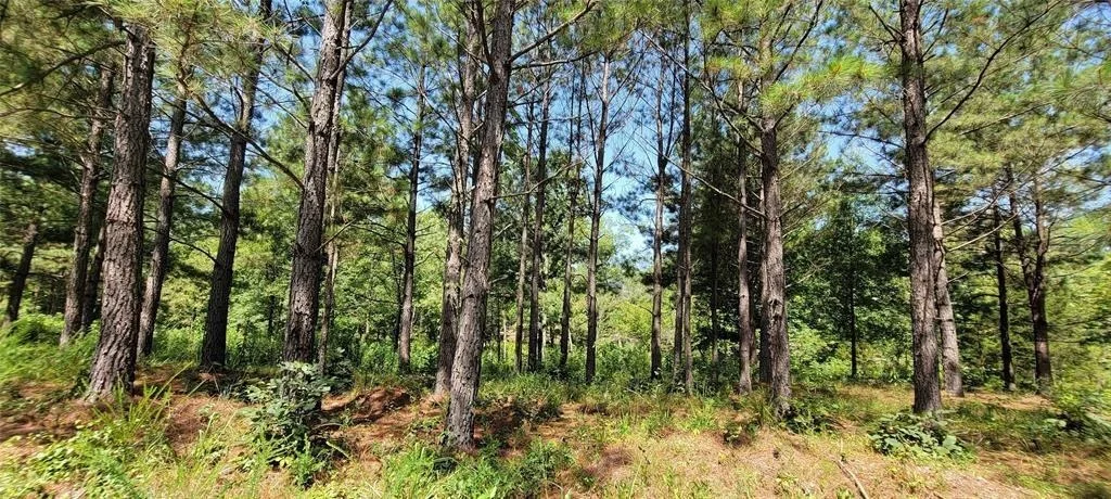 Photo of 28 Creek Side Trail