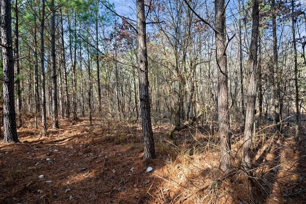 Photo of 315 Marked Pine Lane