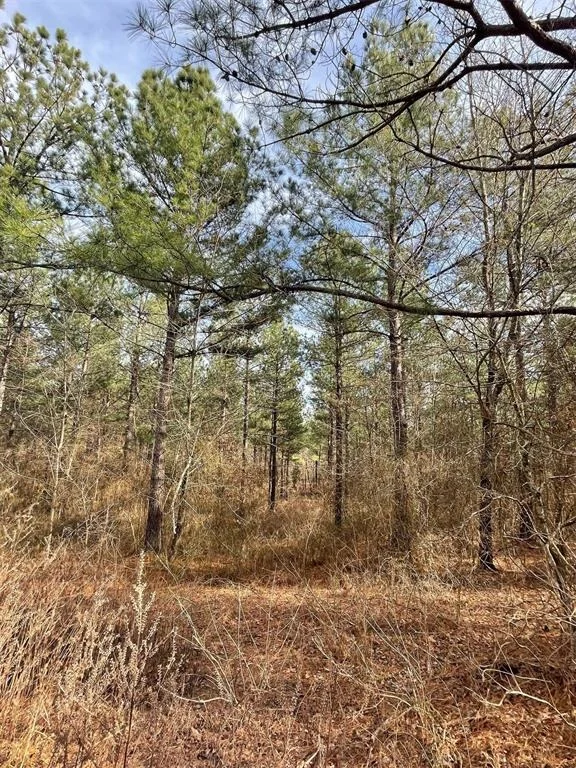 Photo of 732 Timber Creek Trails South XI