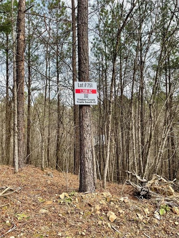 Photo of 751 Timber Creek Trails South XI