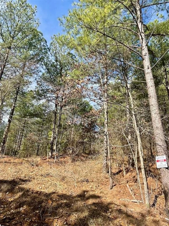 Photo of 776 Timber Creek Trails South XI