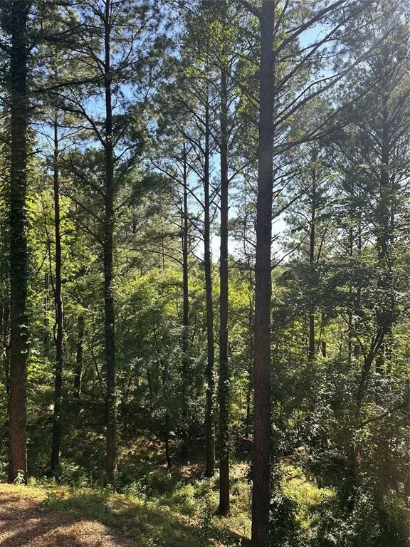 Photo of 143 Gnarly Maple Trail
