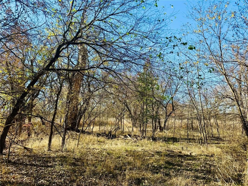 Photo of 4521 Willow Grove Drive