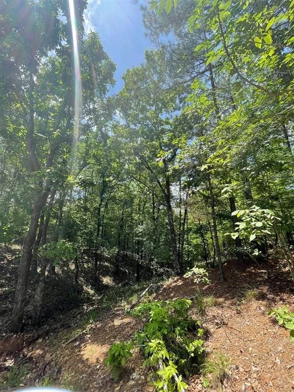 Photo of 736 Timber Creek Trails South XI