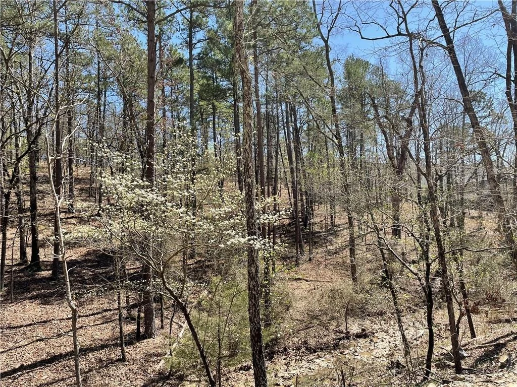 Photo of 132 Western CEDAR Trail