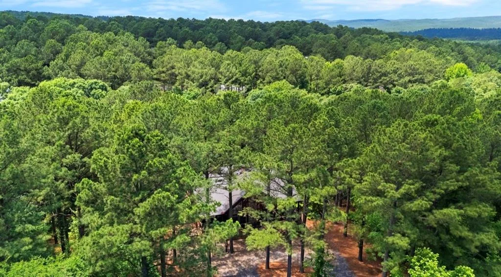 Photo of 207 LONELY MAPLE Trail