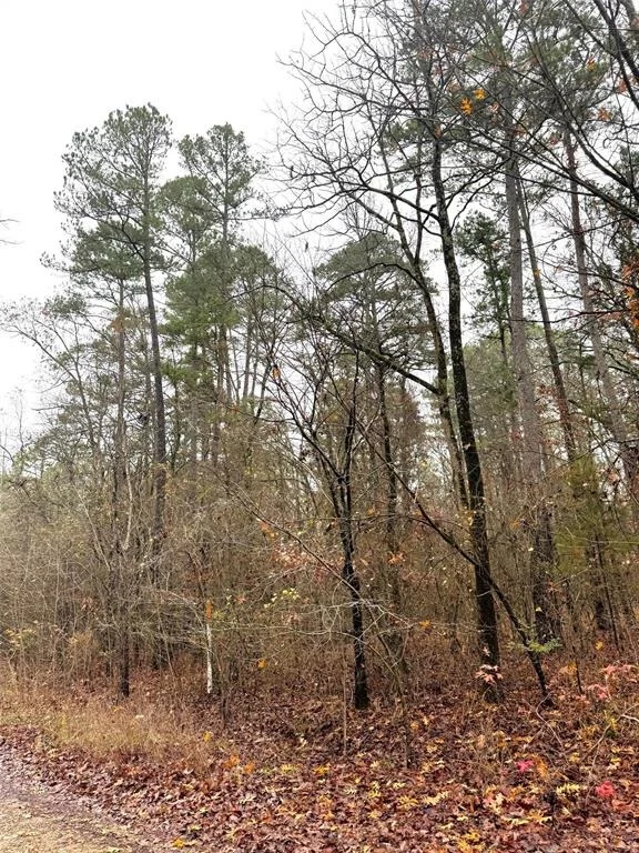 Photo of 209 Timber Creek Trail