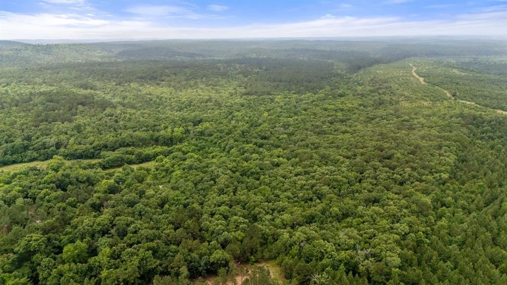 Photo of 219 Lost Hazel Trail