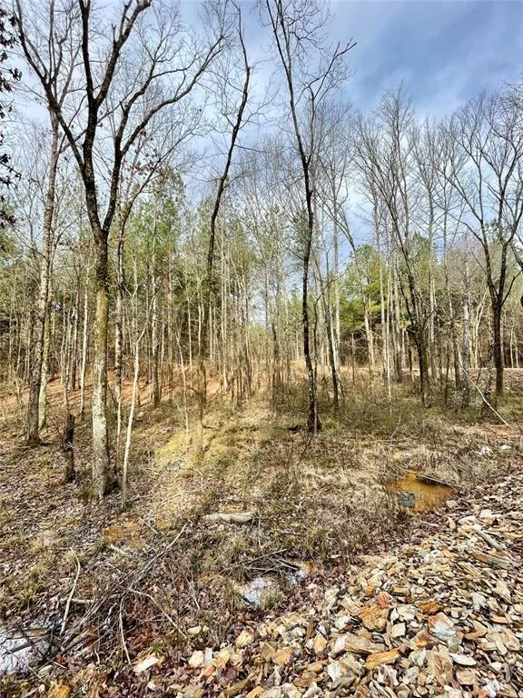 Photo of 741 Timber Creek Trails South XI
