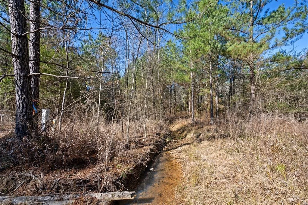 Photo of 323 Marked Pine Lane