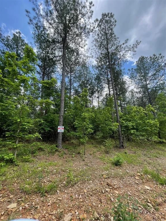 Photo of 688 Timber Creek Trails South XI