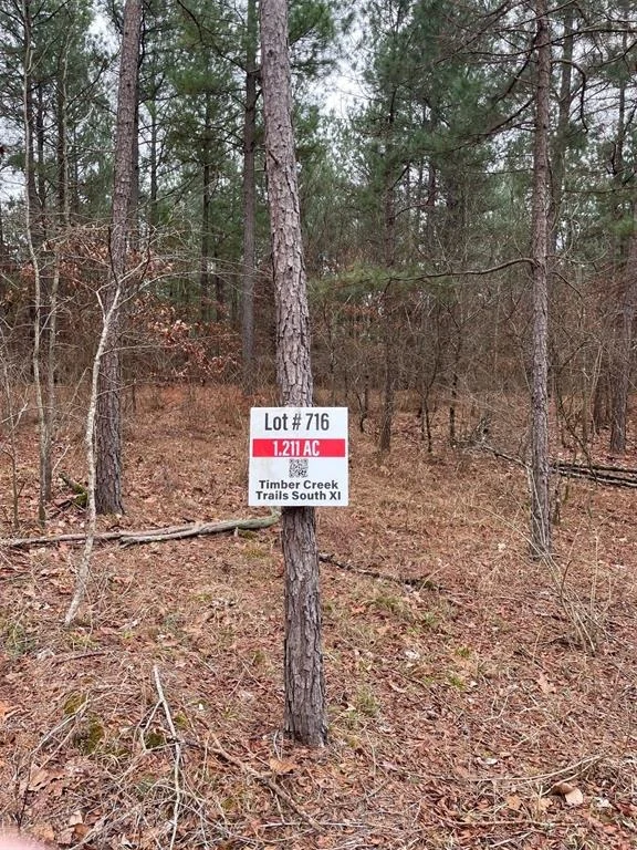 Photo of 716 Timber Creek Trails South XI