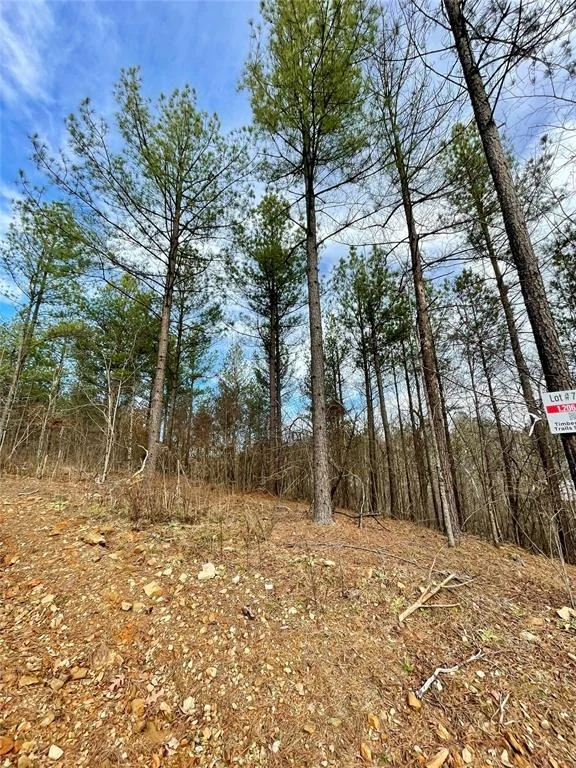 Photo of 751 Timber Creek Trails South XI