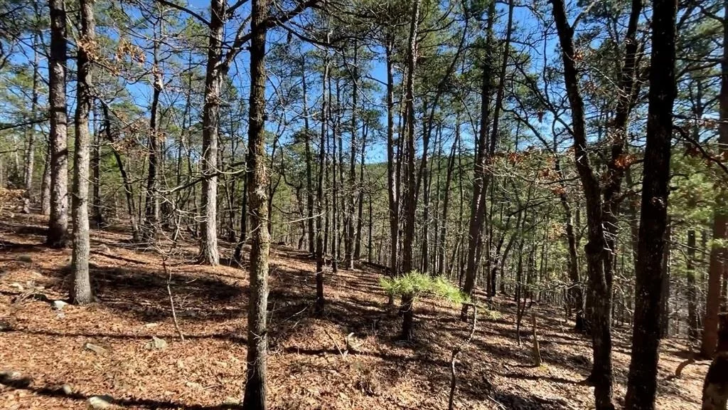 Photo of 964 Timberline Trail