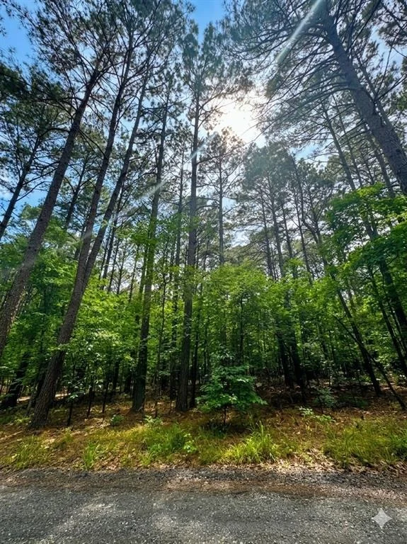 Photo of 26 Mangrove Road