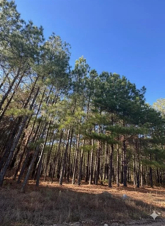 Photo of 1245 Sugarberry Trail Trail