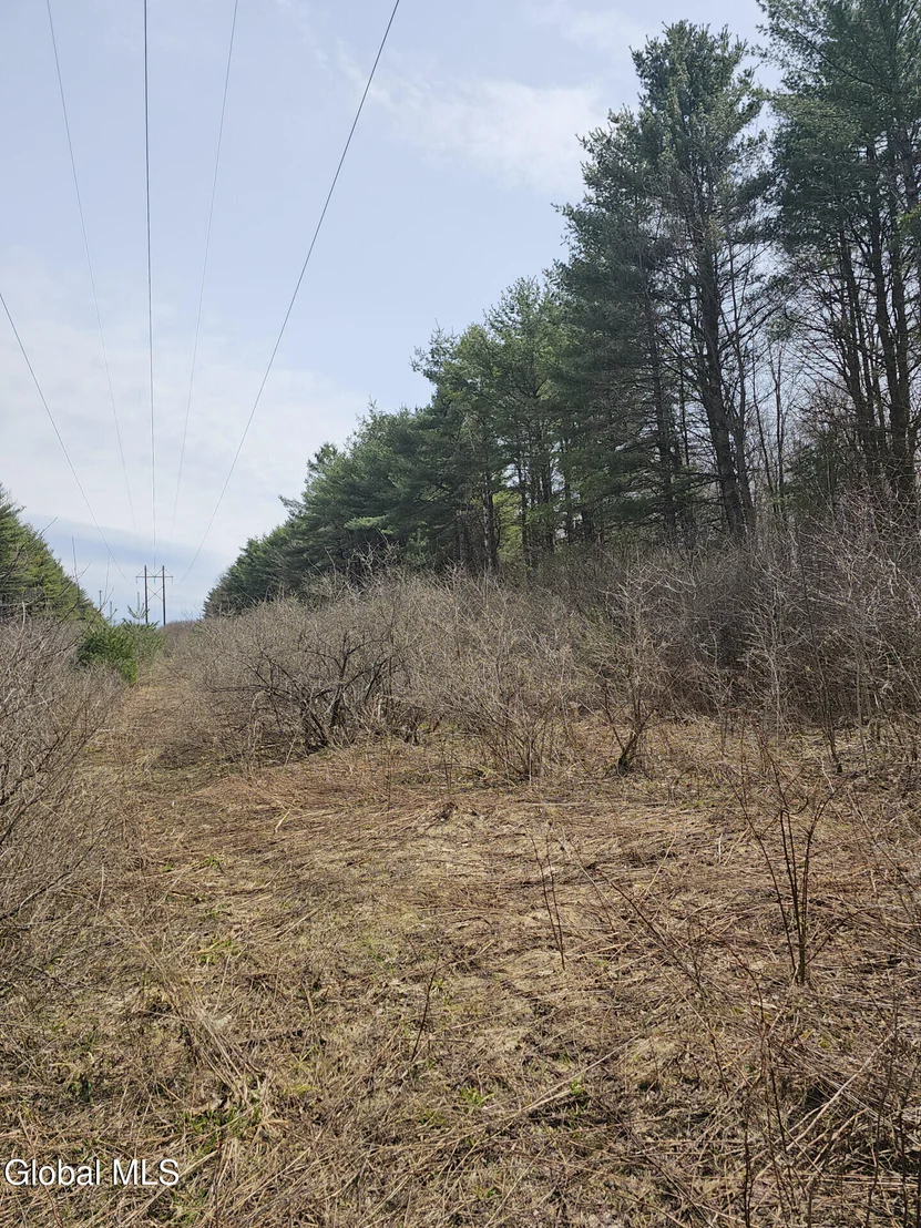 Photo of 290 Griggs