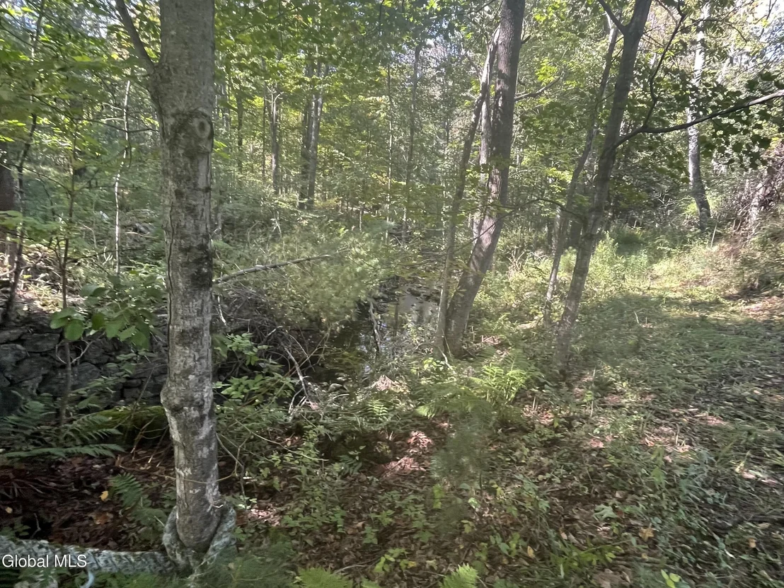 Photo of 675 Creek Road