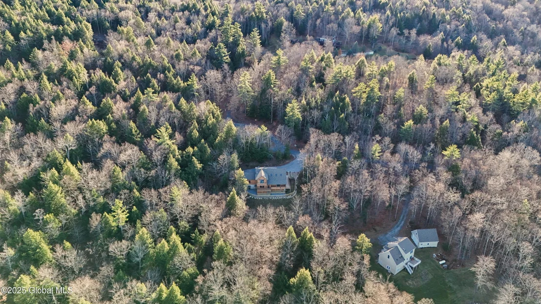Photo of 9 Spring Woods