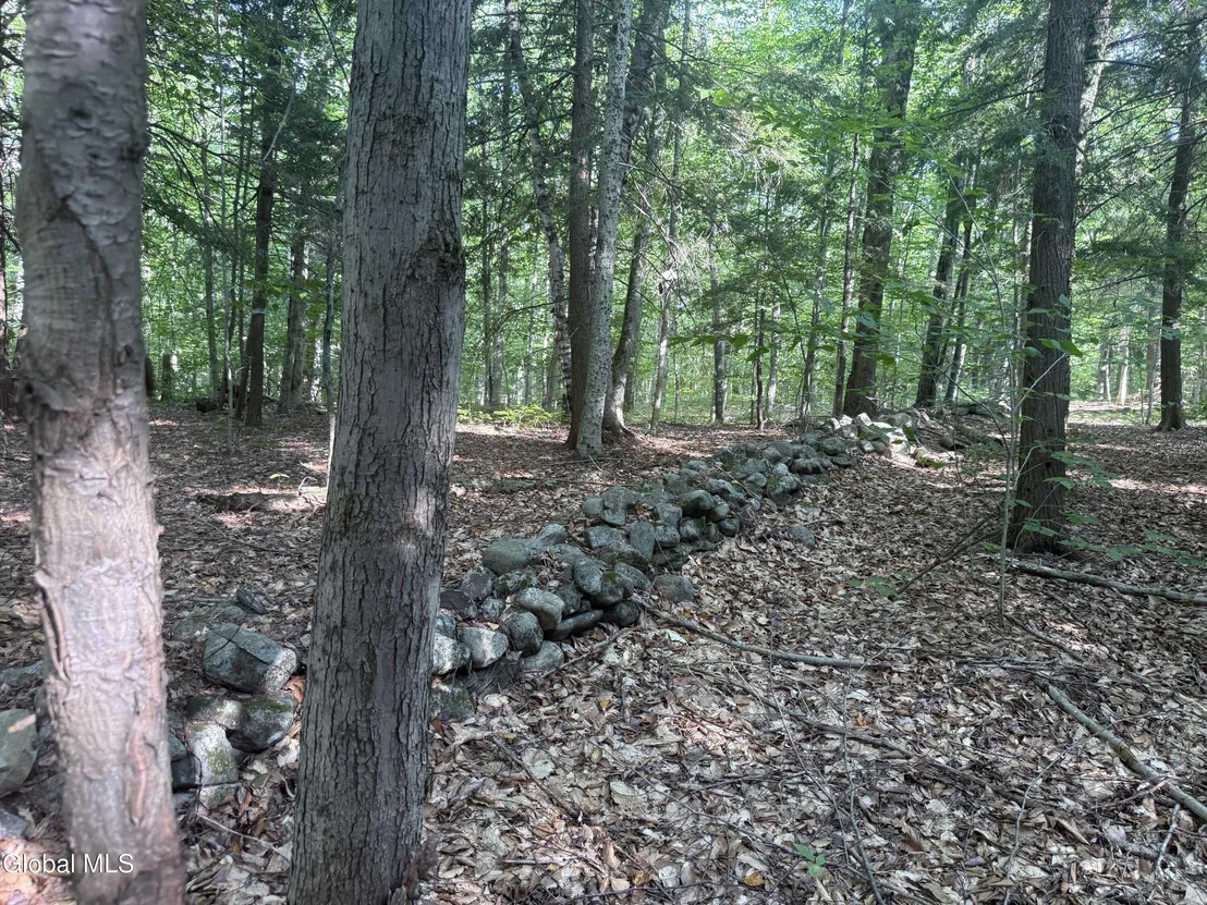 Photo of 375 Ormsbee Road