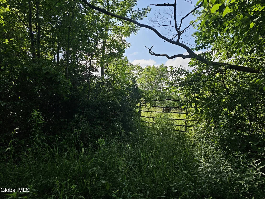 Photo of L-11 Earls Road