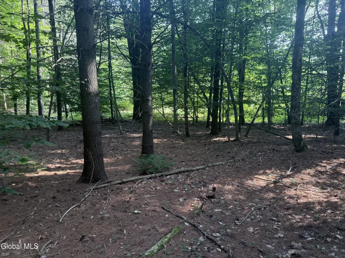 Photo of 375 Ormsbee Road