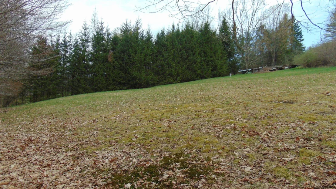 Photo of 889 KEYSERKILL Road