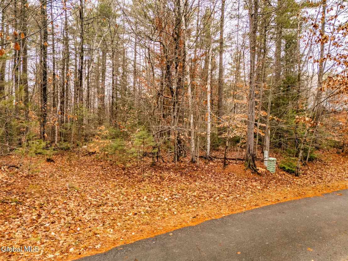 Photo of 206 Mountain Path