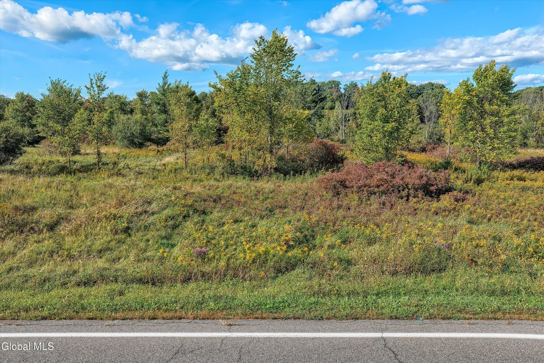 Photo of L1.123 Bozenkill Road