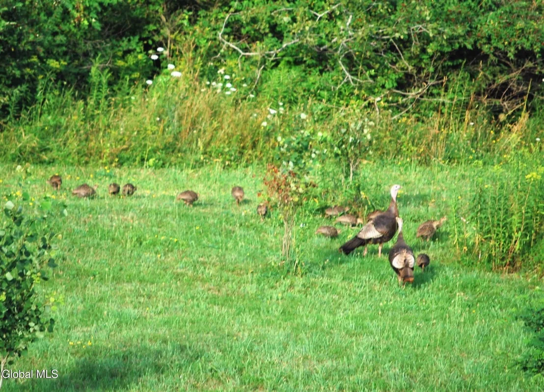 Photo of 1161 County Route 408