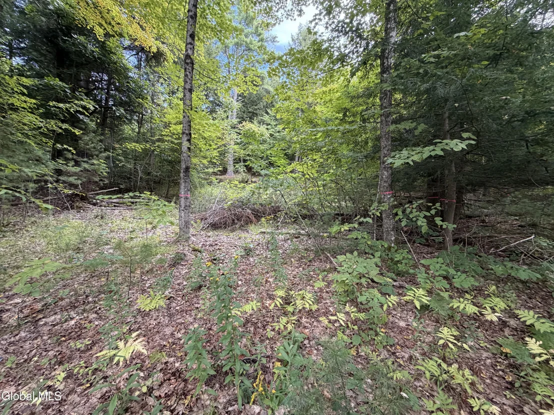 Photo of 1542 Co Rd 21