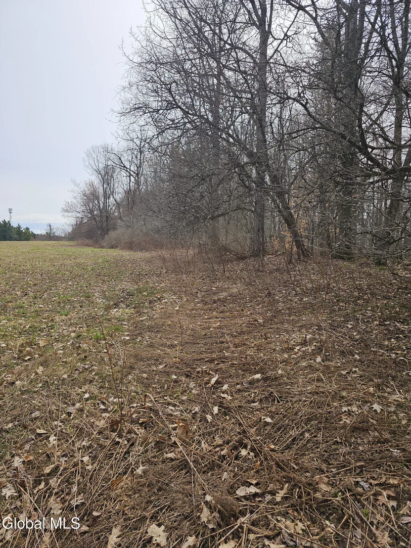 Photo of 290 Griggs