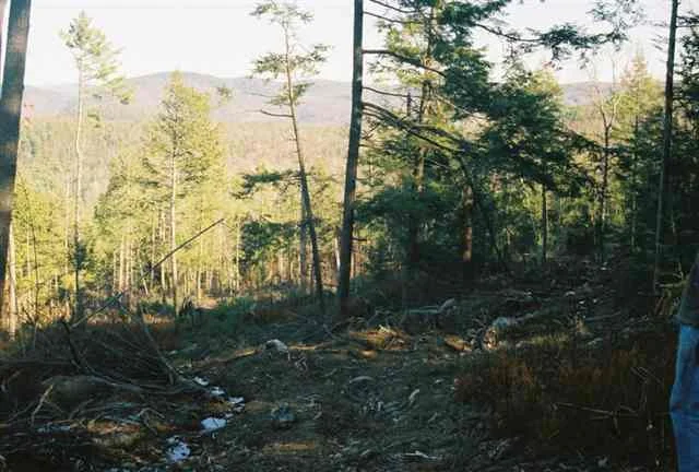 Photo of 0 ROUTE 9N