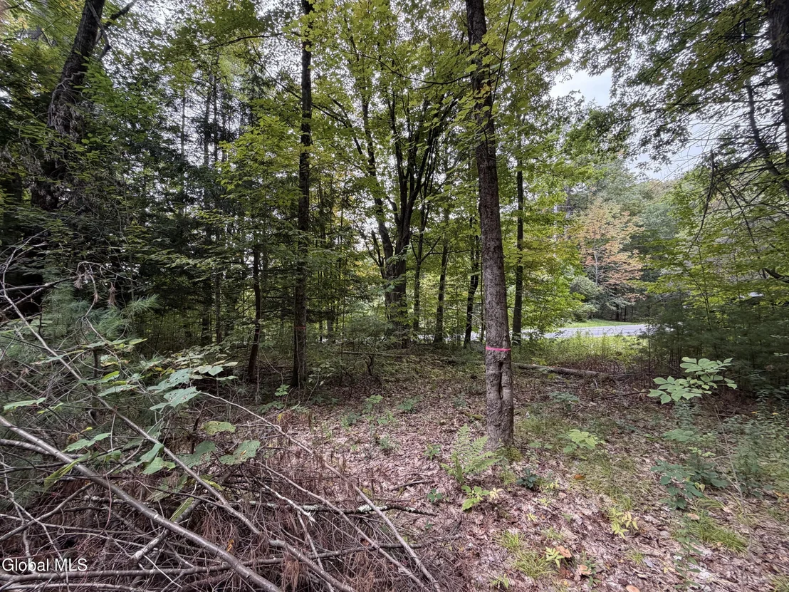 Photo of 1542 Co Rd 21