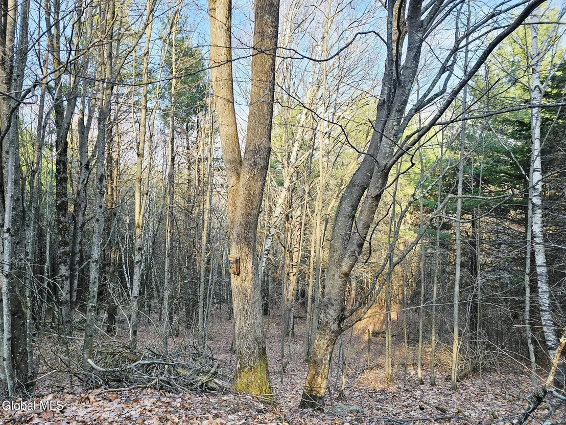 Photo of 224 High Pine Meadows Road