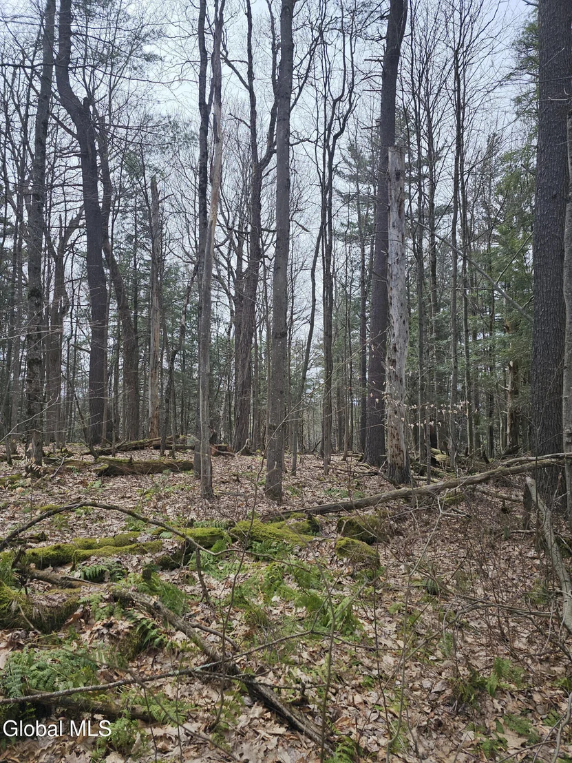 Photo of 290 Griggs