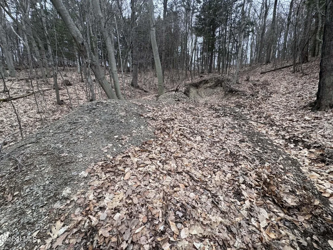 Photo of 290 Griggs